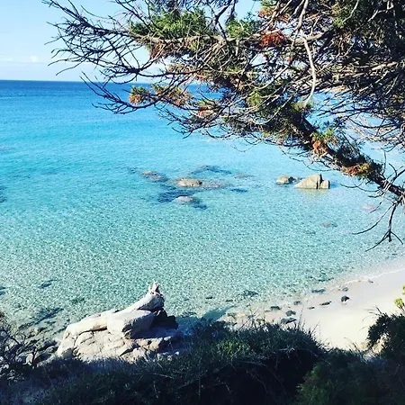 Sardinia Seaview&spapool Villa *