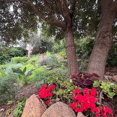 Sardinia Seaview&spapool Villa