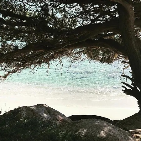 Sardinia Seaview&spapool Villa Villasimius