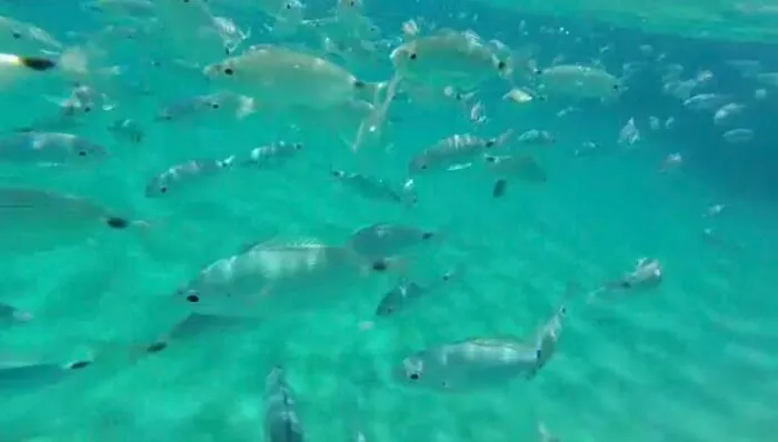 Sardinia Seaview&spapool *