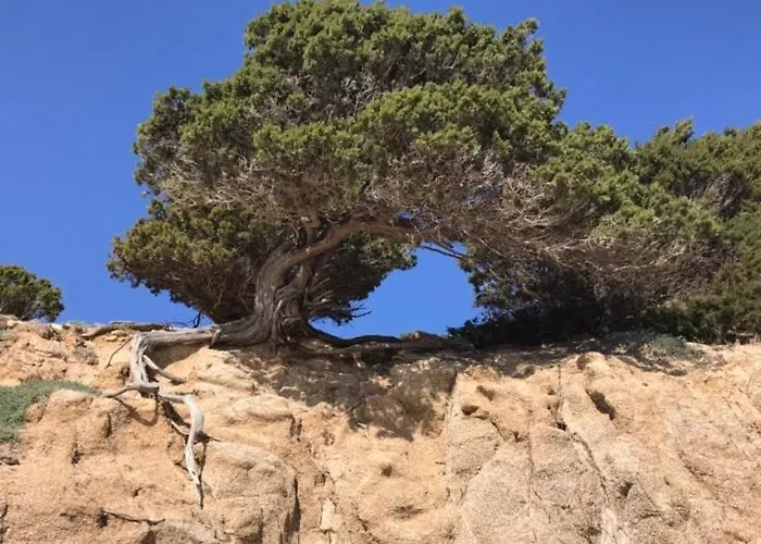 Sardinia Seaview&spapool Villasimius