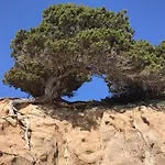 Sardinia Seaview&spapool Віллазімьюс