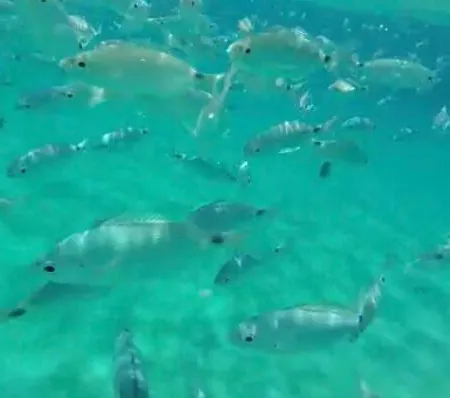 Sardinia Seaview&spapool *