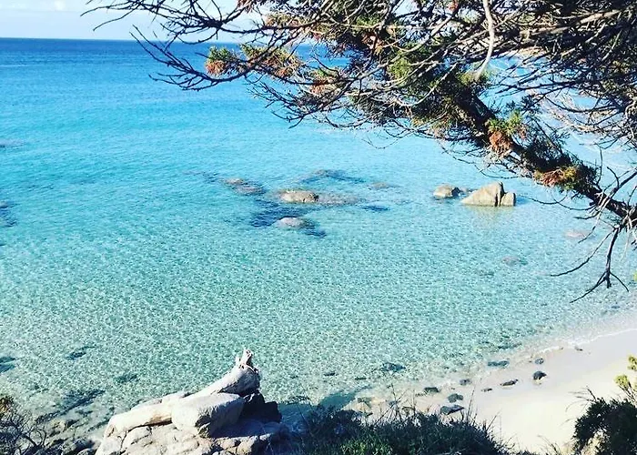 Sardinia Seaview&spapool ヴィラ *