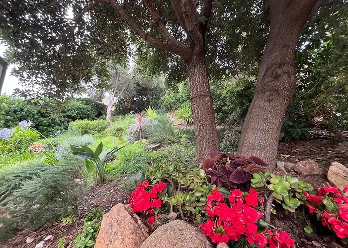 Sardinia Seaview&spapool ヴィラ