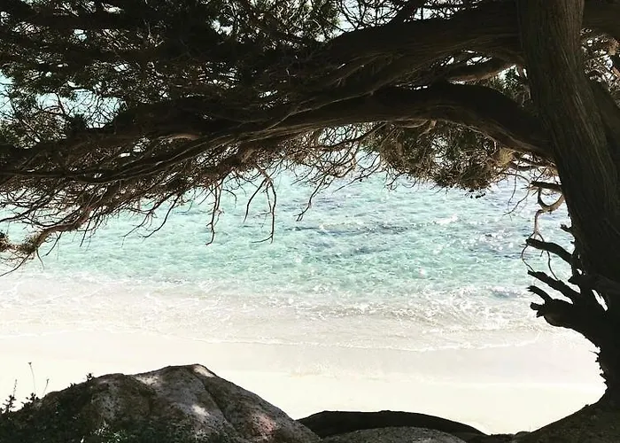 Sardinia Seaview&spapool 빌라 빌라시미우스